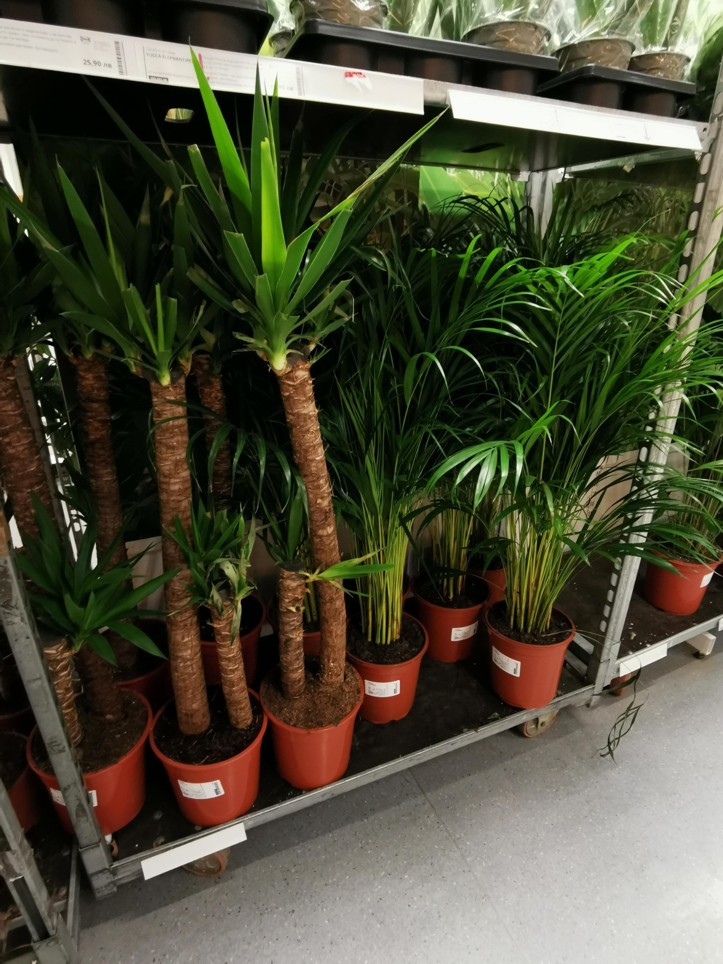 Kunstige planter og blomster fra IKEA